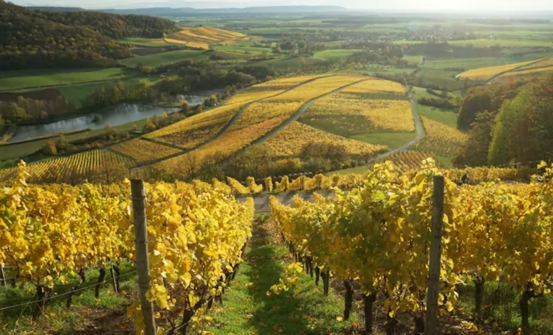 Frankrike och traditionens hjärta