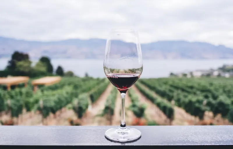 Vinupplevelser som stannar kvar